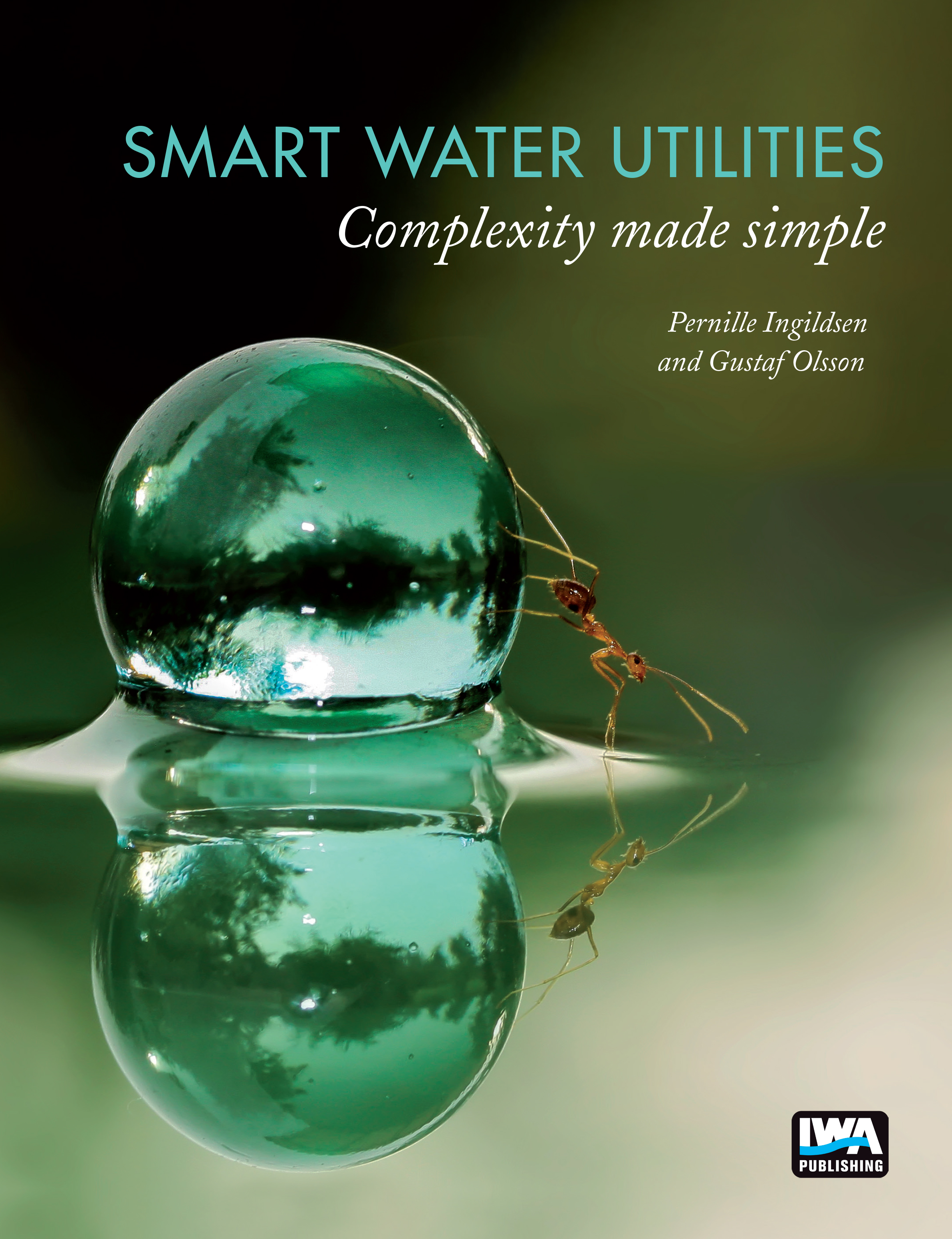 Smart Water Utilities Complexity Made Simple IWA Publishing