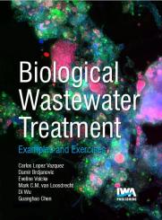 Biological Wastewater Treatment: Examples & Exercises